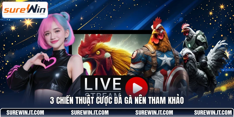 3 chiến thuật cược đá gà nên tham khảo