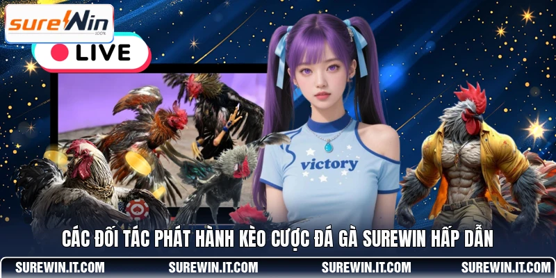 Các đối tác phát hành kèo cược đá gà SUREWIN hấp dẫn