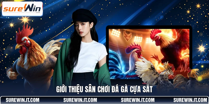 Giới thiệu sân chơi đá gà cựa sắt