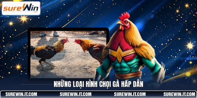 Những loại hình chọi gà hấp dẫn