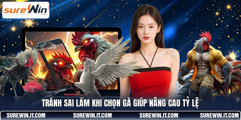 Tránh sai lầm khi chọn gà giúp nâng cao tỷ lệ 